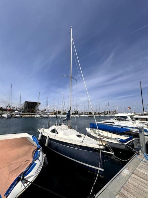 Marine Dream Valencia Otel Dış mekan fotoğraf
